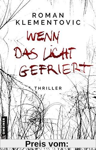 Wenn das Licht gefriert (Thriller im GMEINER-Verlag)